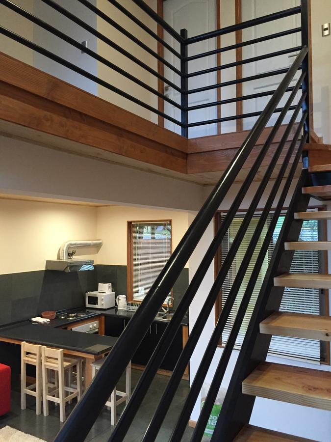 Loft Pucon Aparthotel Bagian luar foto